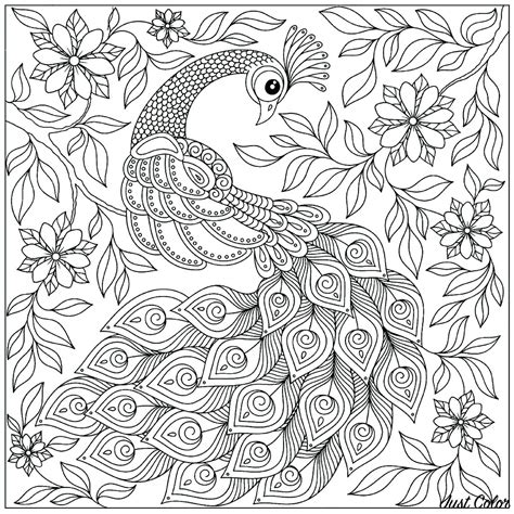 adult coloring peacock